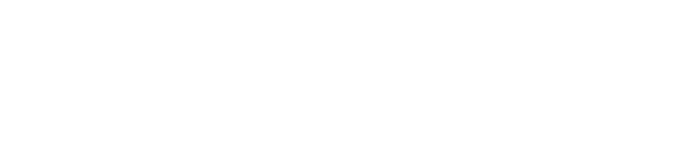 Modern Flames Logo