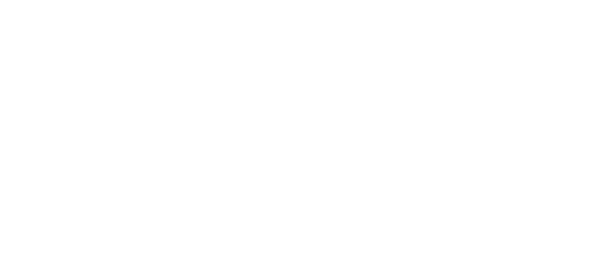 Napoleon Logo